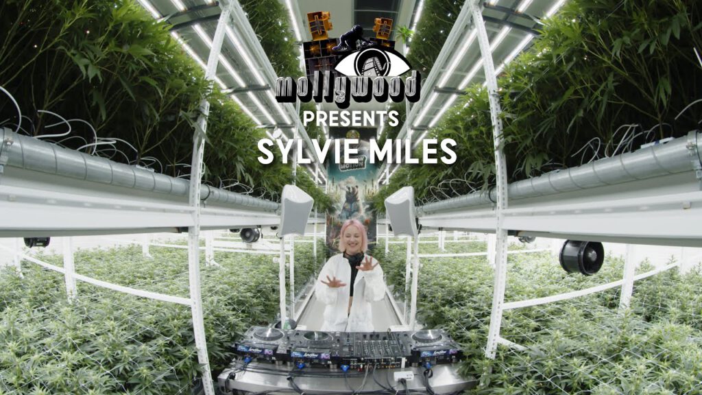 Silvie Miles - Mollywood Cannabis Plantage #01 | 2024